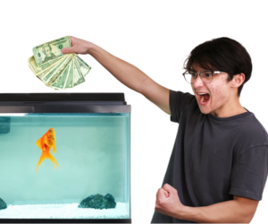 Michael Reeves goldfish: den fulde historie