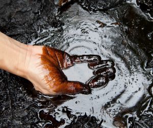 Bedste mæglere for olie i Danmark